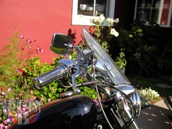 XL-10-1041-14x14-Clear Pullback-Tach.jpg